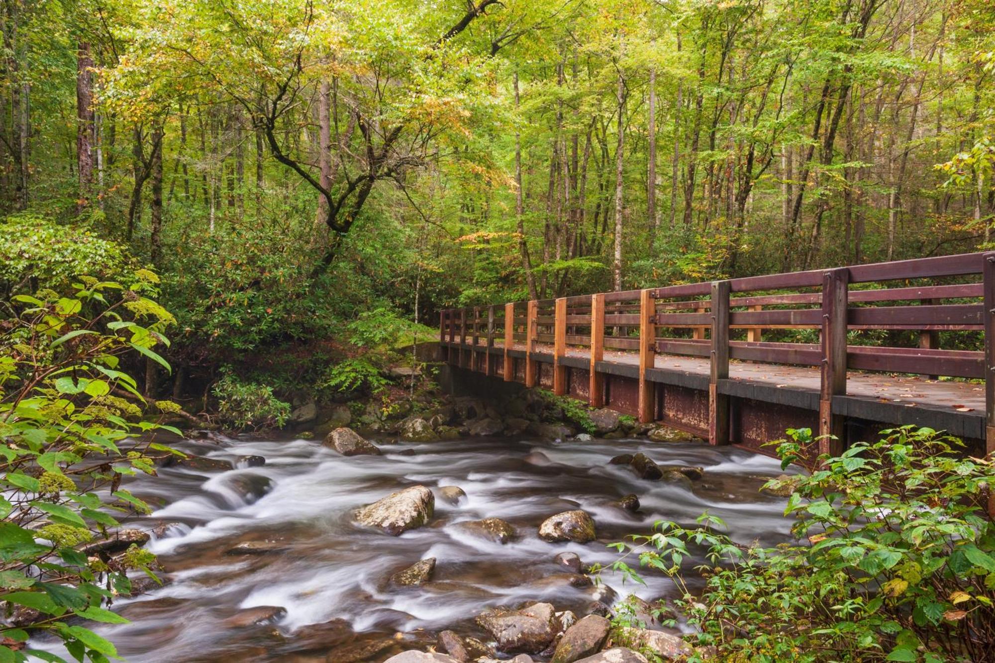 Moonshine Chalet, Hot Tub, Pool Access, Wifi, 1089 Free Tickets Each Paid Day, Dollywood And More Gatlinburg Εξωτερικό φωτογραφία